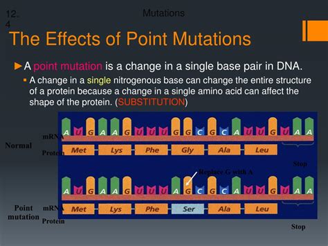 The Impact of Point